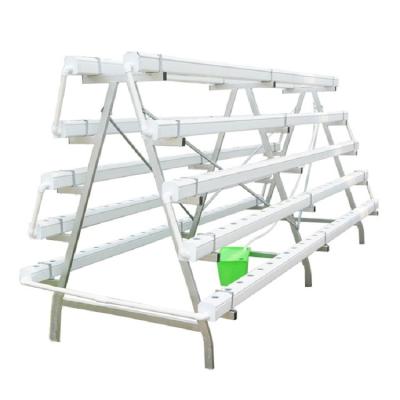 China Stable Structure Greenhouse Vertical Hydroponics System Aquaponics Growing System for sale