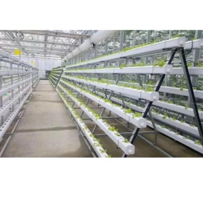 China PVC Planting Pipe With 72holes Greenhouse NFT Hydroponics System For Lettuce /Salad for sale