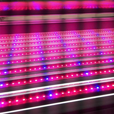 China Other Led Hydroponic Grow Light Fixture 4 6 8 Spike Bar Light With IP65 for sale