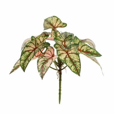 China High Simulation Artificialplants 3D Printing Begonia Taro Leaves Caladium Bulbs Aglaonema for sale