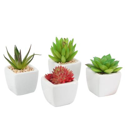 China Home office artificial succulent Nordic shelf style small high simulation bonsai pants creative desktop ornaments for sale