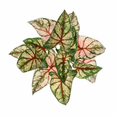 China High Simulation Plant Wall 3 D Wall Art Plant Decoration Potted Artificial Green Plants Leaf Plant Photo Props Decoration Green Red Taro Leaf for sale