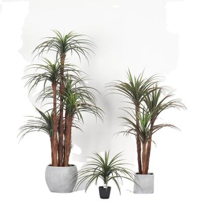 China Beaucarnea Trees Coastal Artificial Ornamental Decorative Yucca Trees Home Decor Tree Plant for sale