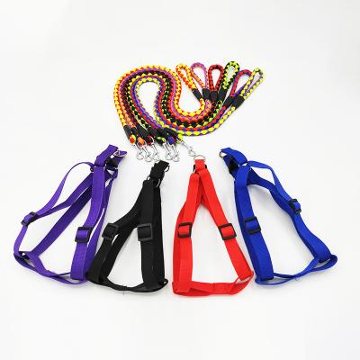 China New Popular Products Modern Luxury Dog Leash Rope Integrated Design Braided Pet Collar And Leash for sale