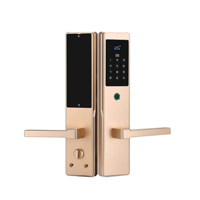 China Bestselling Fingerprint Password Zinc Alloy Door Lock for Home or Apartment for sale