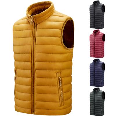 China QUICK DRY Winter Winter Fashion Sleeveless Jacket Zipper Quilted Down Stripper Waterproof Mens Vests for sale