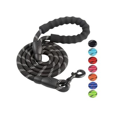 China Large Reflective Heavy Duty Nylon Braided Rope Climbing Dog Leash for sale