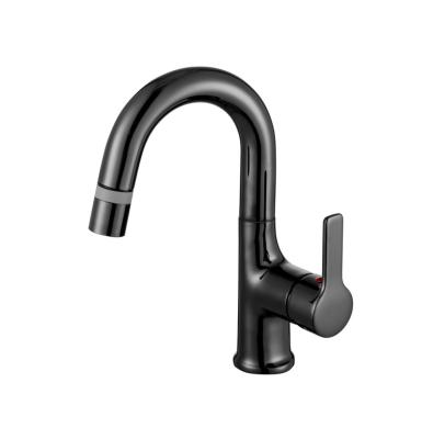 China Thermostatic Faucets New 2021 Modern Pull Out Kitchen Faucet Brass Kitchen Fountain With Shower Head Kitchen for sale