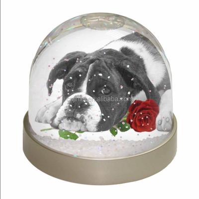 China Plastic Christmas Rose Water Globe From China Photo Frame for sale