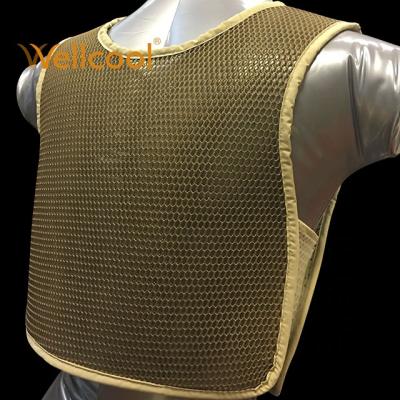 China Outdoor Durable Breathable Brown Spacer Fabric Quanzhou Wellcool Professional Training 3d Mesh Military Cooling Vest for sale