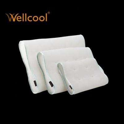 China Anti-Apnea Wellcool 3d Air Mesh Fabric Cutout Professional Washable Breathable Pillow for sale