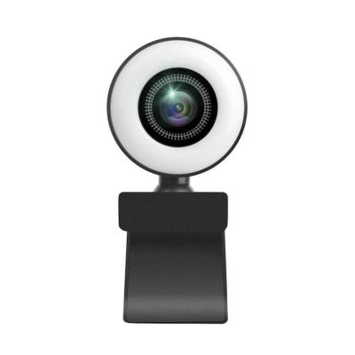 China 0-5M Q25 Webcam Video Conference Light Selfie Ring Light iPad Laptop PC Webcam Light with Clip for Youtube Live for sale