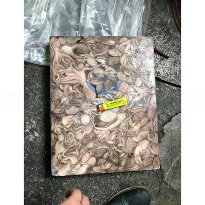 China NATURE Factory Price BQF Squid Fillet Calamari Squid Tentacle Squid Tube Seafood Squid for sale