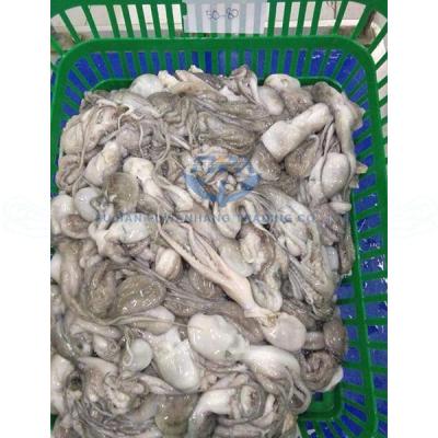 China Frozen octopus long leg with cheap price 50-80g for sale