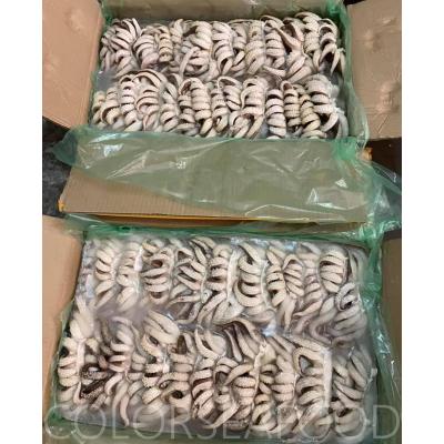 China Low Fat Frozen Cuttlefish Main Price for sale