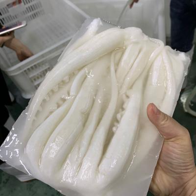 China Low Fat Frozen Indian Ocean Squid Tentacle Skin for sale