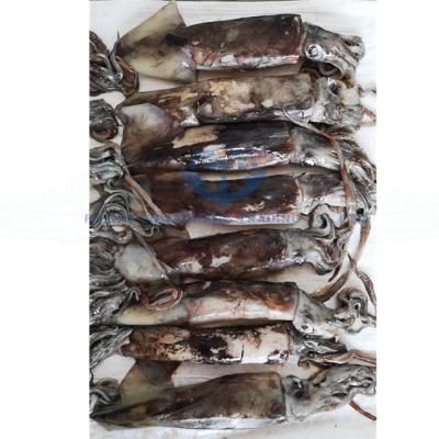 China Low Fat Jig Equator Catch Squid for sale