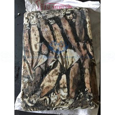 China Nutritious Newcomer Argentina Illex Frozen Squid 100-150g for sale