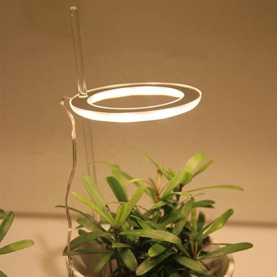 China New Acrylic Plant Growth Lamp Usb Cycle Timing Round Clip Indoor Flesh Spectrum Full Led To Grow Light for sale