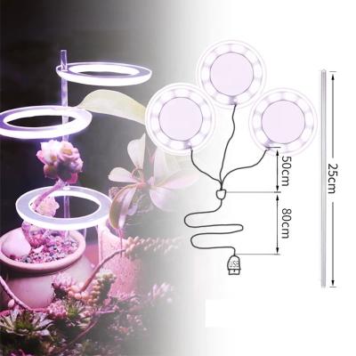 China Angel Three Ring Acrylic Phytolamp Usb Grow Light Dc5v For Plants Led Full Spectrum Lamp For Home Flower Succulent Plant Seedlings Indoor for sale