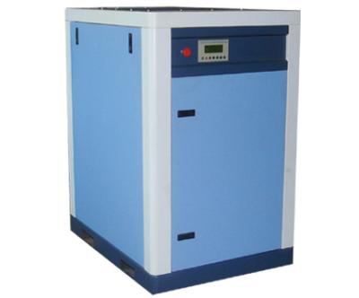 China Stores 2019 Type New Building Material Direct Screw Air Compressor for sale