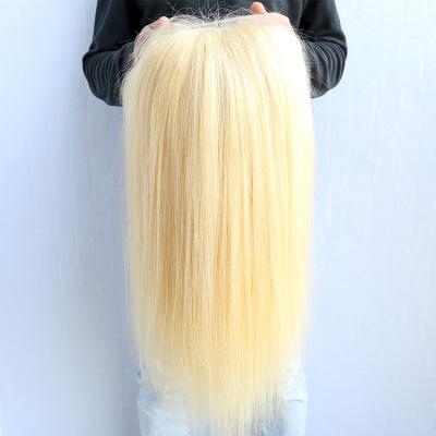 China 30inch Silky Straight Medium Wave 613 Lace Part Wig 13*1 Remy Brazilian Straight Human Hair Blonde Wig Pre Plucked With Baby Hair for sale