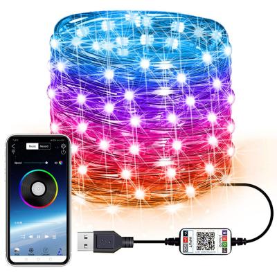 China Residential 2M 5M 10m App Control RGB USB LED Copper Wiring String Lights for Home Christmas Tree Holiday Decoration Mobile Phone App Control for sale