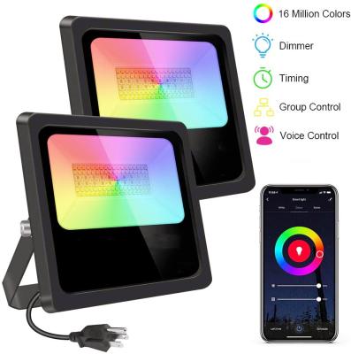 China Outdoor Waterproof APP Control Garden Floodlight RGBCW Tuya High Lumen 30Watts LED Work with Google and Alexa for sale