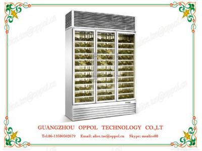 China OP-417 Automatic Defrosting System High Efficiency Compressor Wine Display Refrigerator for sale