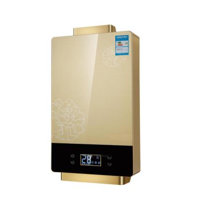 China Household 12L Panel Constant Temperature Digital Glass Gas Water Heater for sale