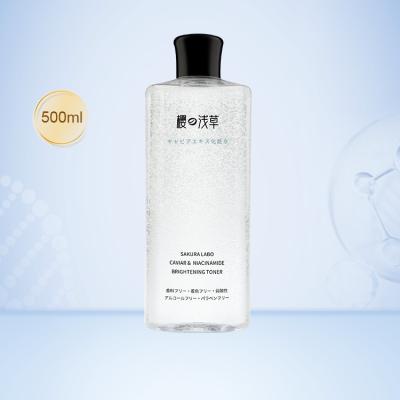 China Multifunctional Acne Treatment Skin Whitening Anti Aging Spot-Erasing Facial Toner for sale