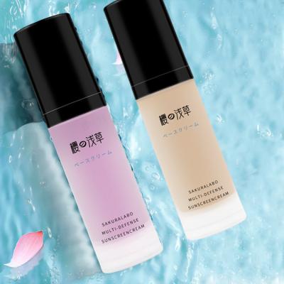 China Oil Protectant Surface Concealer Concealer Pen Private Label Private Label Skin Face Base Primer for sale