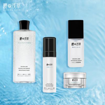 China Best Selling Moisturizer Whitening Rejuvenating Woman Skin Face Care Set For Beauty Salon for sale