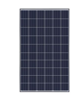 China Renewable Energy Solar Panel 330W Standard 72 Cells 5BB Poly Crystalline Silicon Morel-330w for sale