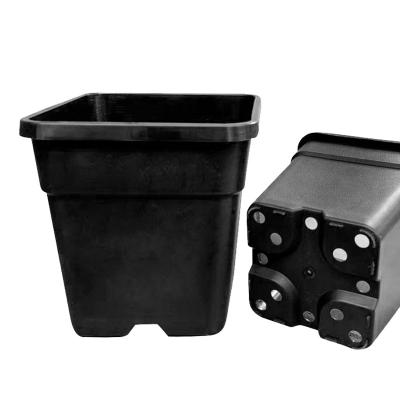 China CLASSIC China Professional Manufacturer Square Black Plastic Pot for sale