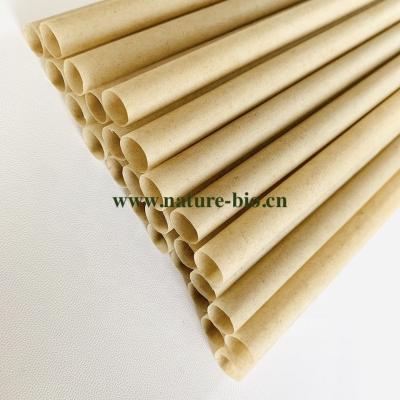 China Eco-friendly disposable biodegradable bagasse drinking straw/drinking straw for restaurant/party/decoration/bar for tea cafe for sale