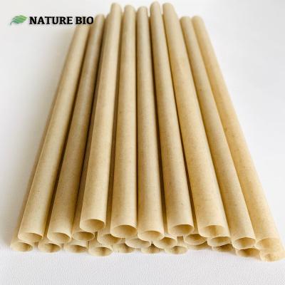 China Drinking/Restaurant/Party/Decoration/Bar 100% Compostable Natural Material Sugar Cane Straw For Drinking for sale