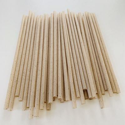 China Popular Wholesale Disposable Eco-Friendly Coconut Juice Coffee Grounds Drinking Straw soft for sale