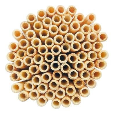 China Amazon Hit 2019 Stocked Biodegradable Bamboo Straws for sale