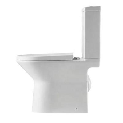 China Double-Flow Sanitary Ware Bathroom Design Toilet for sale