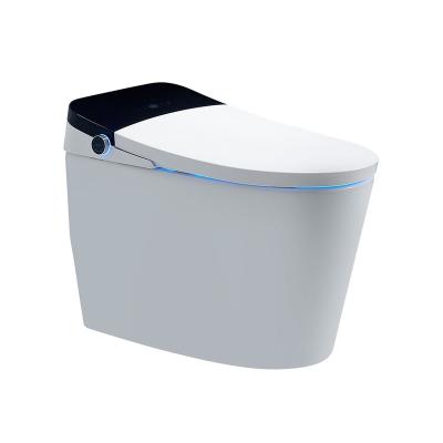 China Automatic Operation Factory Wholesale Smart Toilet Bidet Smart One Piece Toilet for sale