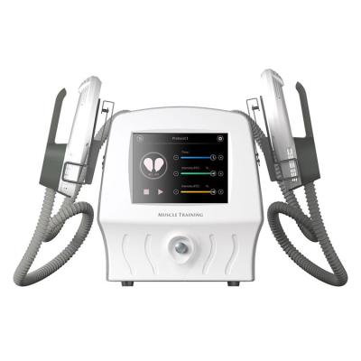 중국 220V 몸 슬리밍 기계 셀룰라이트 감소 진동 Ems 몸 조각 판매용