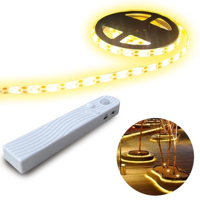 China LANDSCAPE Extremerate Neon Kits 2835 Led Strip Lights Smd 2835 Lamp Flexible Diode Led Strip Lamp Grow Light Car Led Strip Light for sale