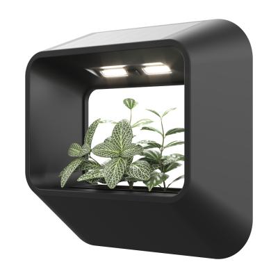 China Garden Motion Sensor Waterproof Outdoor Yard Fence Wall Landscape Pathway Lights Solar Powered Garden Lights Solar Light for sale