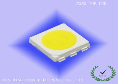 China 5050 WHITE TOP LED, TOP LED,   SUPER BRIGHT LED,LOW POWER LED,MOTORCLE LED,BACKLIGHT LED for sale