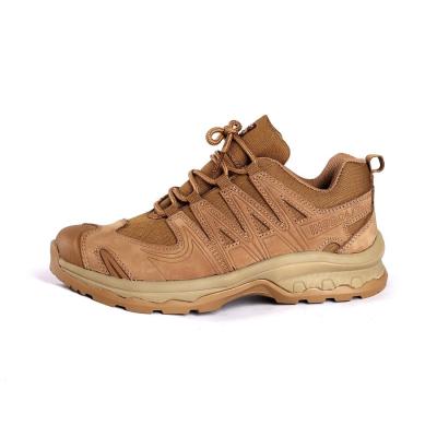 China Shengjie Lace Up Factory Standard Hiking Boots with Lightweight Rubber EVA Sole Climbing Fashion Outdoor Shoes for sale