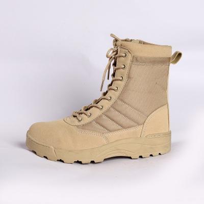 China Shengjie Factory Ultra Light Wandelschoenen met ademend gaas en Duurzaam PU Nieuw type Wandelers Unisex Outdoor Schoenen Te koop