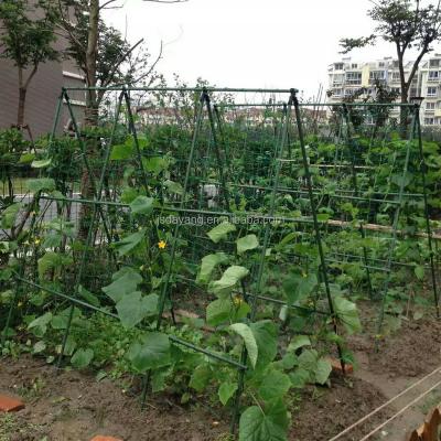 China Monofilament Plant Support Net FRUIT and Cucumber Growing Support Net Fruit Protection Net for sale