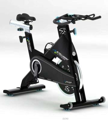 China Universal Commercial Bike Exercise Machine Fitness Equipment Gym Spinning Bike YG-S009-1 for sale