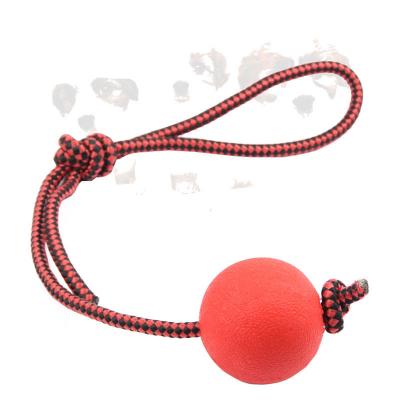 China Dog Sustainable Molar Ball Pets Bite Resistant Rubber Dog Balls Solid Elastic Training Ball With Rope for sale